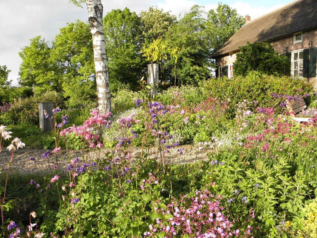 Bed & Breakfast Hofstede Het Klaphek Randwijk Szoba fotó